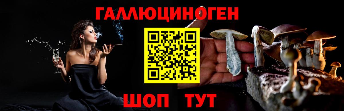 Псилоцибиновые грибы GOLDEN TEACHER Саранск